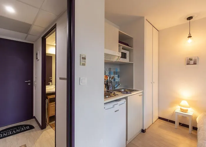 Lejlighed Tithome 1 - Gare, Centre Ville, Vue Montagne Et Chateau Lourdes